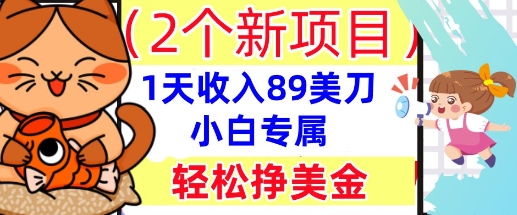 2个新项目，轻松挣美金， 1天收入89美刀，小白专属，干货分享-百创网