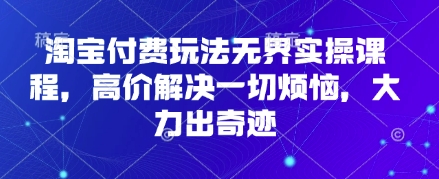 淘宝付费玩法无界实操课程，高价解决一切烦恼，大力出奇迹-百创网