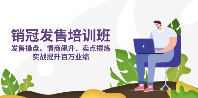 （14203期）销冠 发售培训班：发售 操盘+情商 飙升+卖点 提炼，实战提升百万业绩-百创网