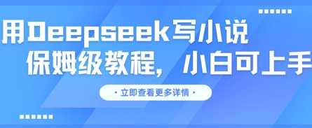 用Deepseek写小说，保姆级教程，小白可实操-百创网
